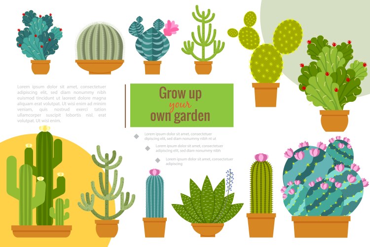 Flat cactuses home garden composition Vector Image