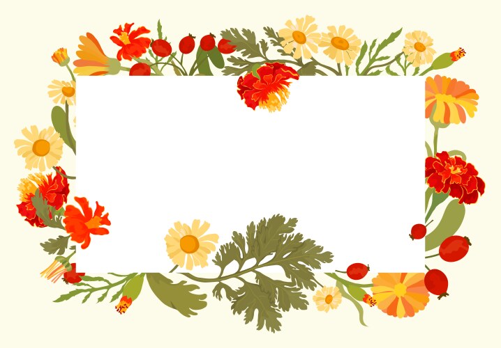 Floral Garden Frame Vector Image