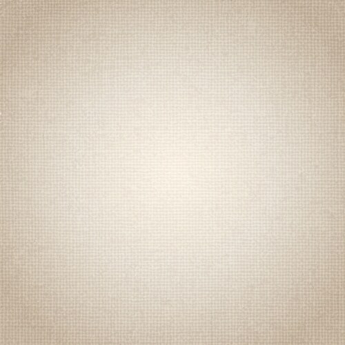 Brown Canvas Grunge Texture Vector Image