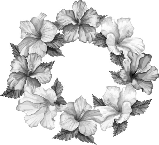 Tropical Hibiscus Flower Frame Vector Image