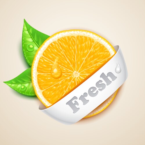 Orange slice Royalty Free Vector Image - VectorStock