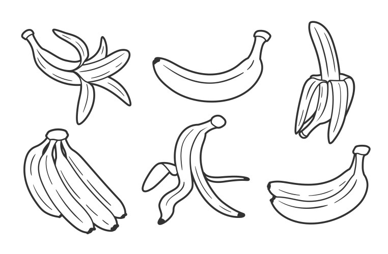 set of line art bananas isolated on white vector image