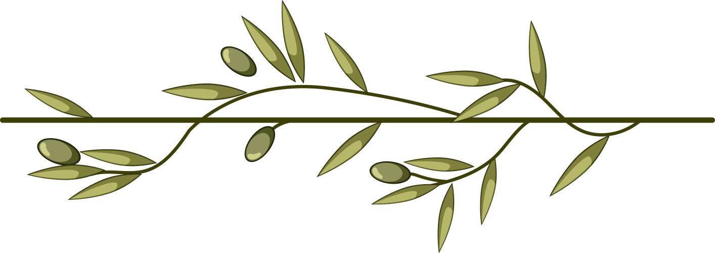 Spread olive border divider cartoon Royalty Free Vector