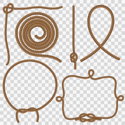 Ropes and knots Royalty Free Vector Image - VectorStock