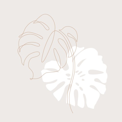 Minimal tropical art monstera leaves Vector Image