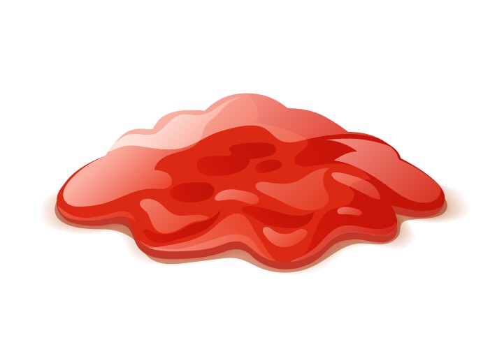 tomato ketchup vector image