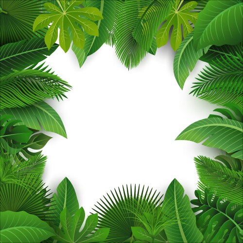 Background with text space of tropical leaves vector image