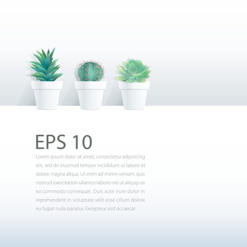 cactus plant in pot on white background vector image