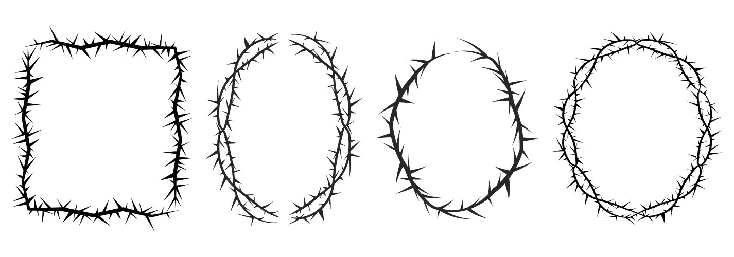 Thorn stem vine plant with spikes simple border Vector Image