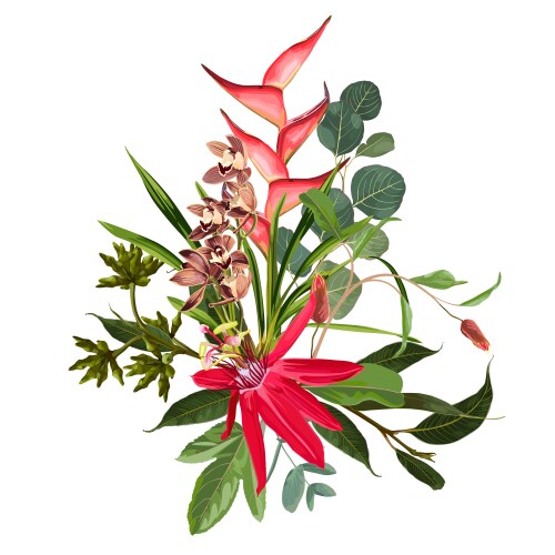 Tropical Flowers with Eucalyptus Vector Image