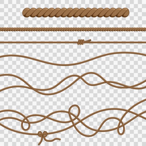 Ropes and knots Royalty Free Vector Image - VectorStock