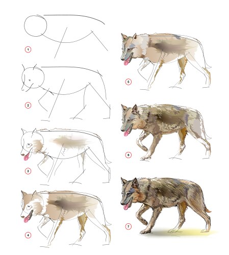 How to learn draw an imaginary sketch vector image