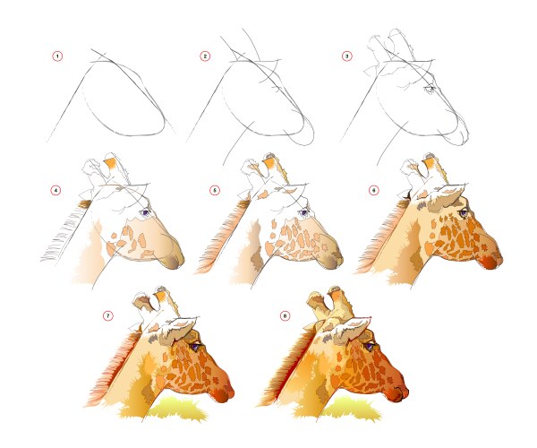 How to learn draw an imaginary sketch vector image