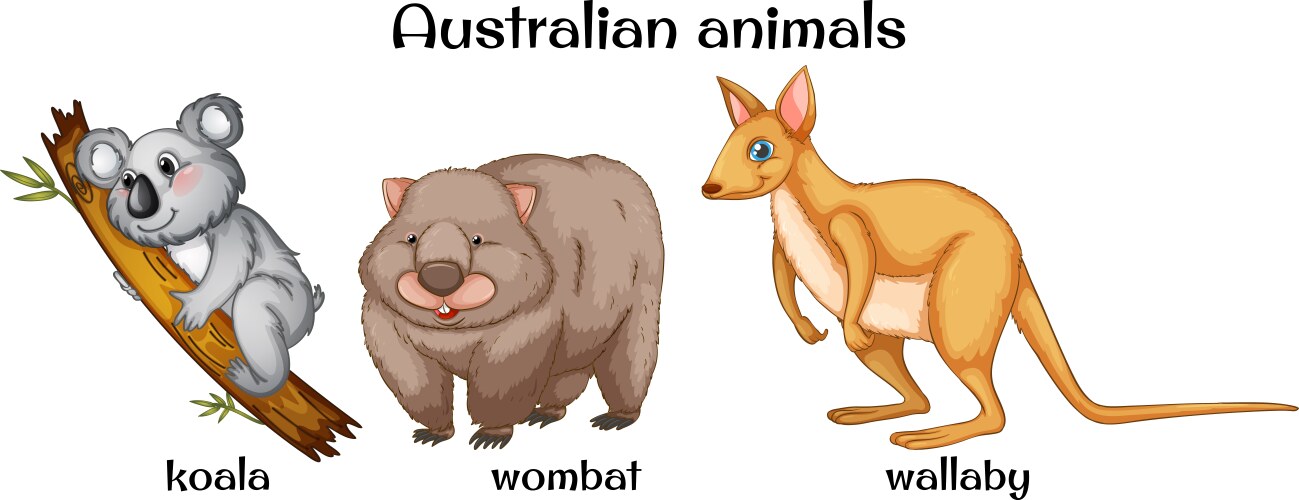 Koala Royalty Free Vector Image - VectorStock