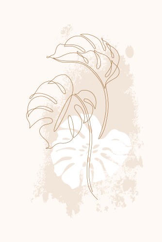 Minimal tropical art monstera leaves Vector Image