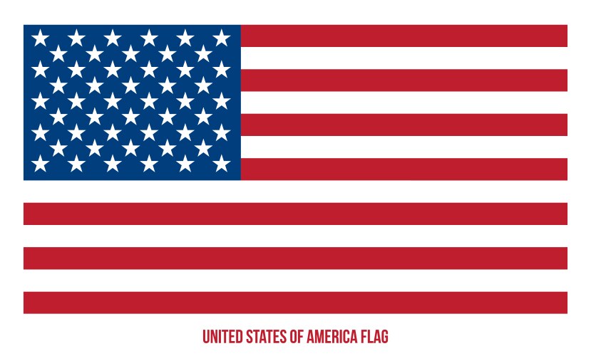United States Flag Vector Image