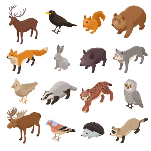 Classification of animals reptiles amphibians Vector Image