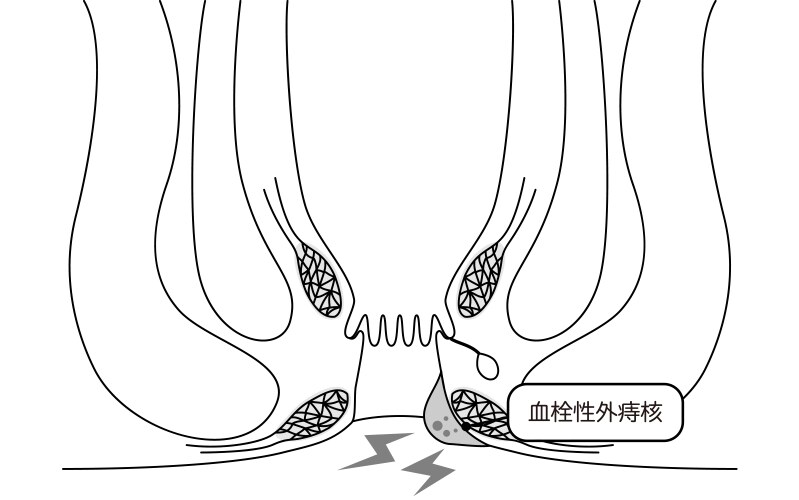 Cross-sectional view Royalty Free Vector Image