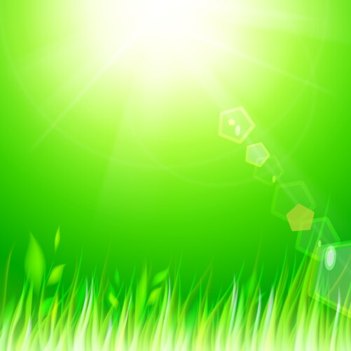 Natural sunny background vector image