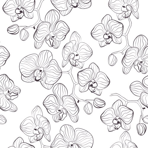 seamless flower pattern with orchids vector image