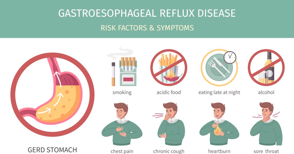 CVD Risk Factors Infographic Royalty Free Vector Image