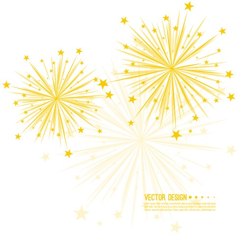 Firework design vector image