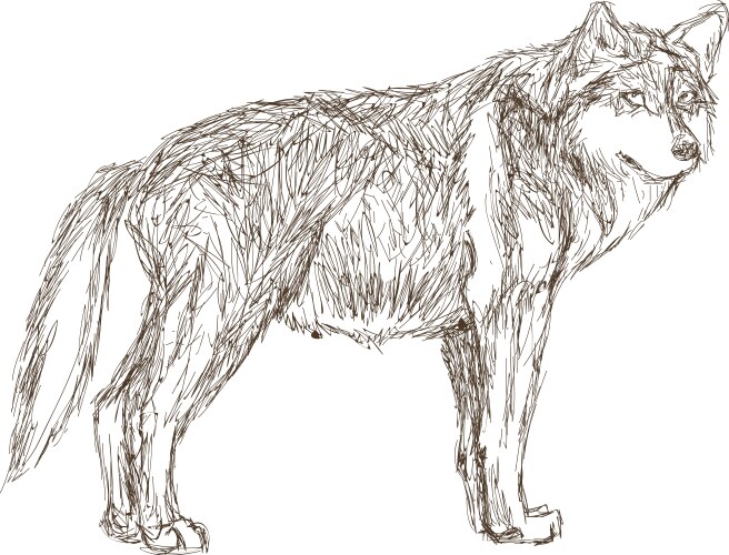 wolf sideview sketch icon vector