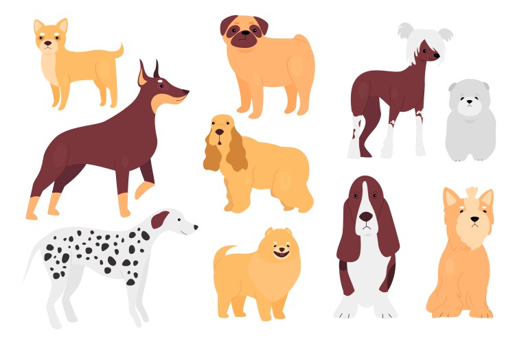 Dog pet set cartoon doggy different breeds vector image