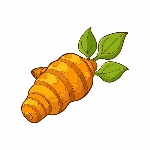 Turmeric Plant Vector Images (over 1,200)