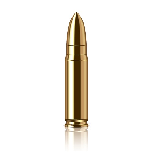 Rifle bullet set Royalty Free Vector Image - VectorStock