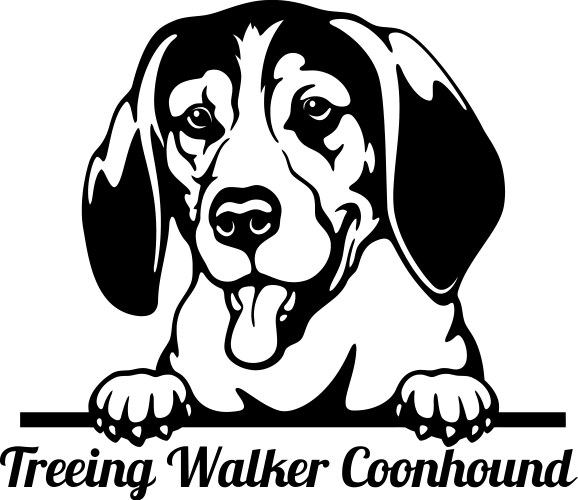Treeing Walker Coonhound - Peeking Head Vector Image