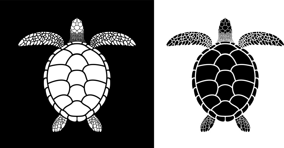 Animated Turtle Vector Images (over 30,000)