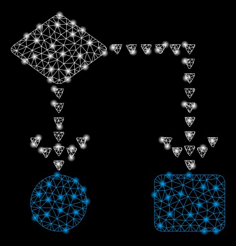 Bright mesh carcass algorithm flowchart with flare vector image
