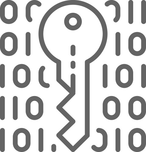 Private key coding cryptography cyber security vector image