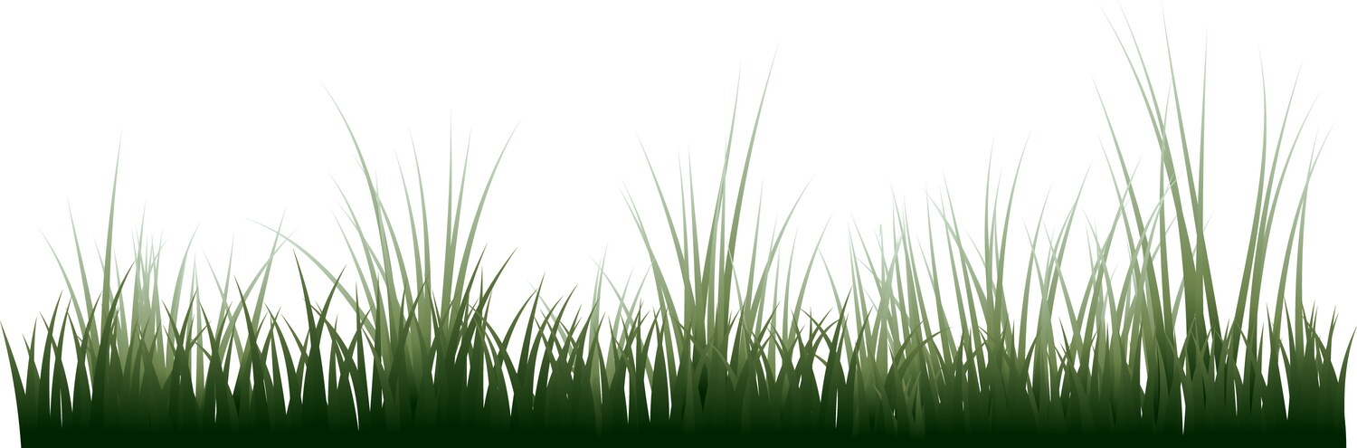 Border of green grass template Royalty Free Vector Image