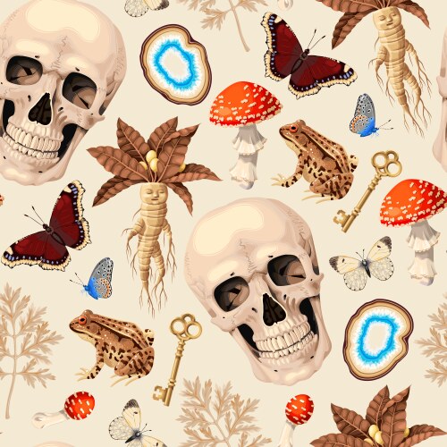 Witchcraft elements in bright cartoon style Vector Image