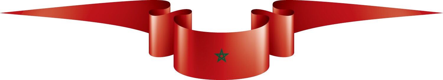 Morocco flag on a white Vector Image