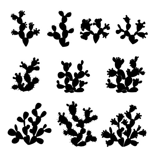 Prickly Pear Drawing Vector Images (over 470)