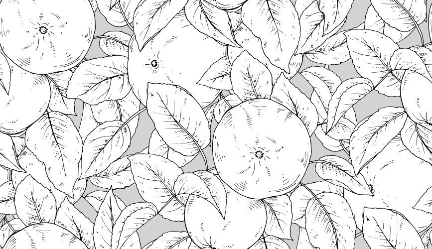 Collection hand drawn fresh lemon tree Royalty Free Vector
