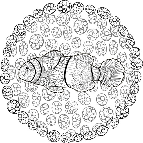 Clownfish with high details Vector Image