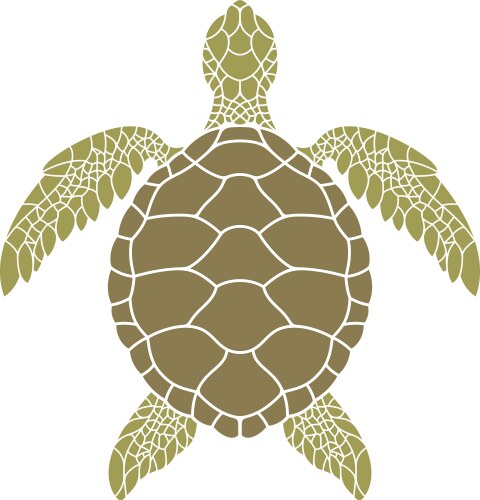 Sea turtle Royalty Free Vector Image - VectorStock
