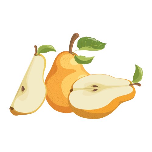 cartoon pear juicy sliced fruit drawing vector image