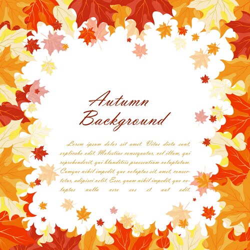 Wooden frame with autumn leaves rowan and maple Vector Image