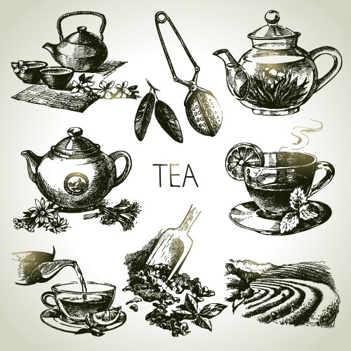Tea Vector Images (over 290,000)