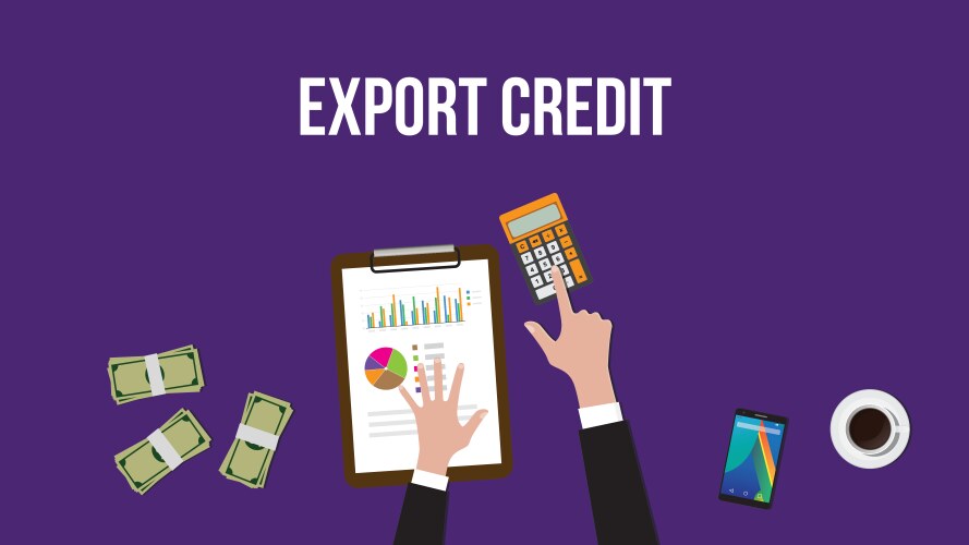 Working and calculating export credit on a table vector image
