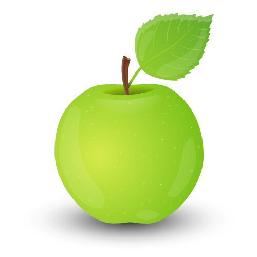 Red apple on white background Royalty Free Vector Image