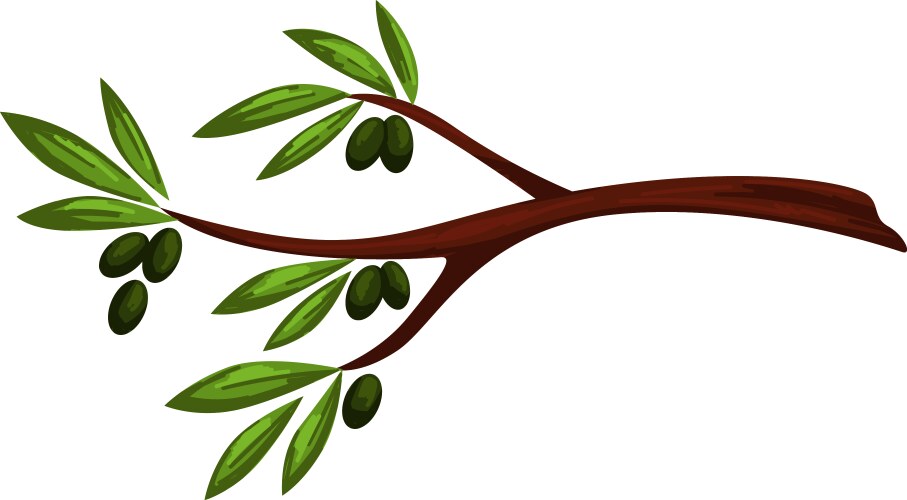Olive Branch with Berries Vector Image