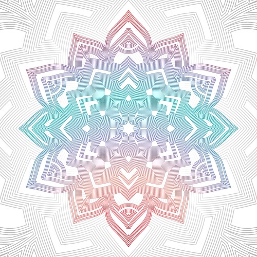 outline abstract color mandala vector