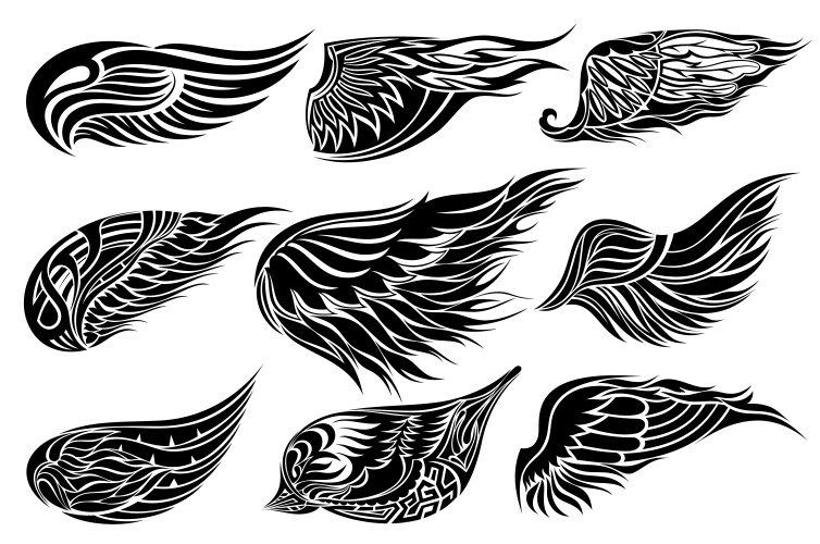 Wing Collection Set Vector Image