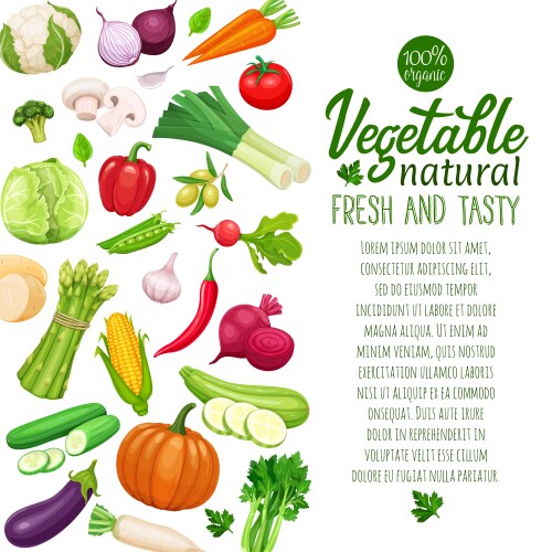 Vegetables healthy food Royalty Free Vector Image